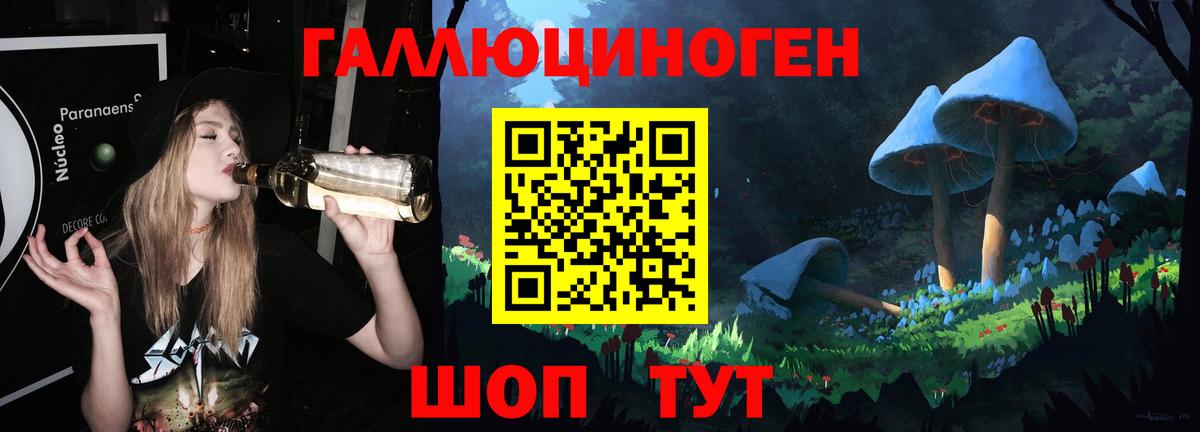 Псилоцибиновые грибы прущие грибы  Вход с VPN  Королёв 